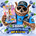 Loom Blueberry Kush DNT-9 2 ml Vape