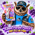 Loom Purple Punch DNT-9 2 ml Vape