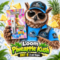Loom Pineapple Kush DNT-9 2 ml Vape