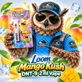 Loom Mango Kush DNT-9 2 ml Vape