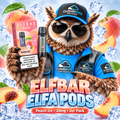 ELFBAR ELFA Pods – Peach Ice / Juicy Peach – 20mg – 2er Pack