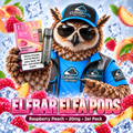 ELFBAR ELFA Pods – Raspberry Peach – 20mg – 2er Pack